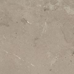 Living Limestone Taupe Tile