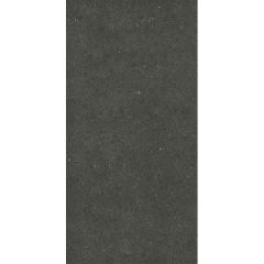 Porcelanosa Avenue Black Nature 29.7 x 59.6cm