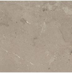 Living Limestone Taupe Tile