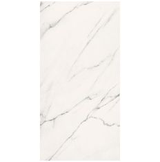 Statuario Mercury Rectified Tile 60 x 120cm